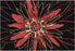 Wool 7502 Area Rug Textured 2