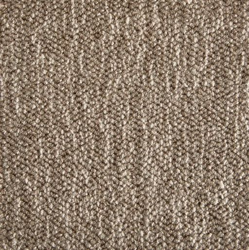 Wool Studio Dixon Dark Taupe