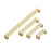 3137 Series Brushed Brass Metal Cabinet Pull 5