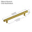 3001 Series Brushed Brass Aluminum Cabinet Pull 5