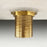 Gold Brass Drain 4