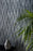 Dunes Quartzite Silver Quartzite Mosaic Honed 2
