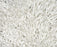 Polyester 20901 Area Rug Textured 4