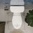 Easley Vitreous China White Toilet White 11