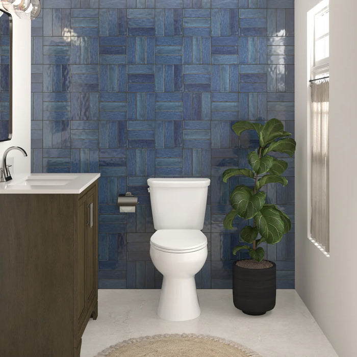 Easley Vitreous China White Toilet White 12