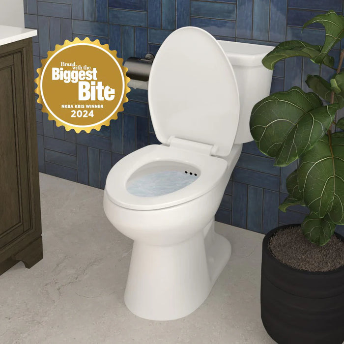 Easley Vitreous China White Toilet White 14