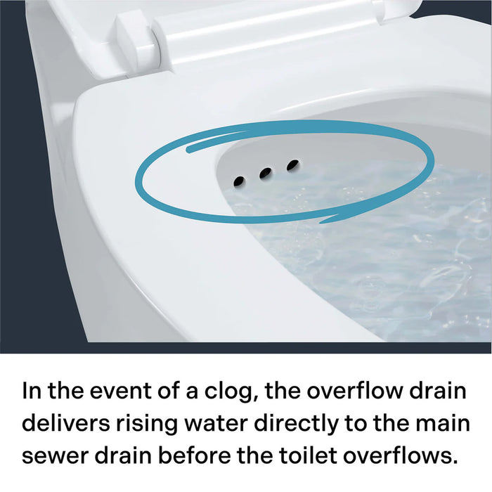 Easley Vitreous China White Toilet White 10