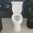 Easley Vitreous China White Toilet White 13