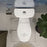 Easley Vitreous China White Toilet White 6
