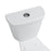 Easley Vitreous China White Toilet White 1
