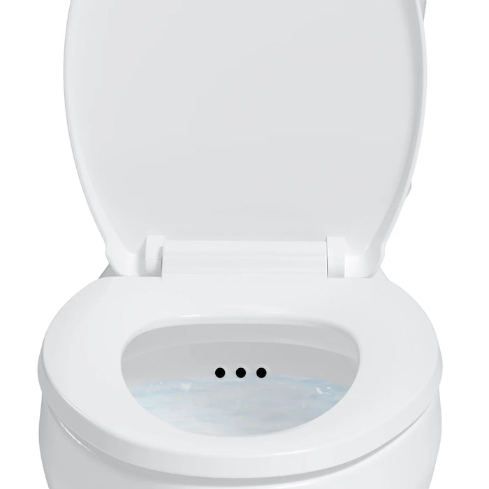 Easley Vitreous China White Toilet White 3