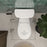 Easley Vitreous China White Toilet White 6