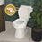 Easley Vitreous China White Toilet White 9