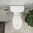 Easley Vitreous China White Toilet White 10