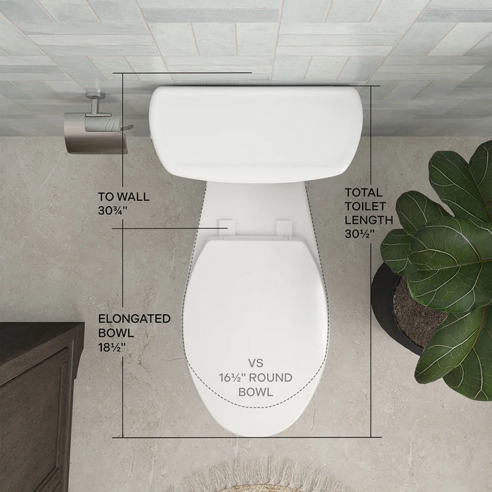 Easley Vitreous China White Toilet White 10