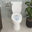 Easley Vitreous China White Toilet White 12