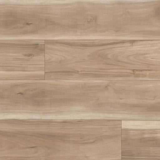 Emcore Viceroy Vinyl Almanza Luxury Vinyl Plank Matte 1