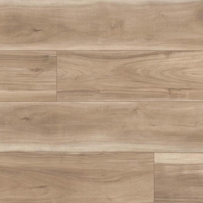 Emcore Viceroy Vinyl Almanza Luxury Vinyl Plank Matte 1