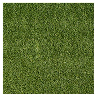 Evergrass Emerald Turf Precut 81 LTRFPEME6X8-38MM81OZ