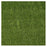 Evergrass Emerald Turf Precut 81 LTRFPEME6X8-38MM81OZ