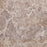 Full Tile Sample - Emperador Caramel Marble Tile - 24" x 24" x 1/2" Polished