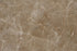 Full Tile Sample - Emperador Light Marble Tile - 12" x 24" x 1/2" Polished
