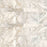 Calacata Giallo Honed Marble Tile 1