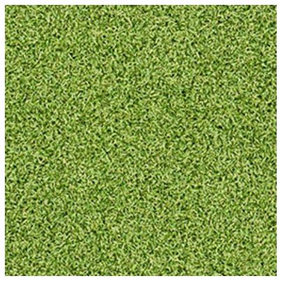 Evergrass Putting Green Turf 78 LTRFRPUG15X100-16MM78OZ-cut