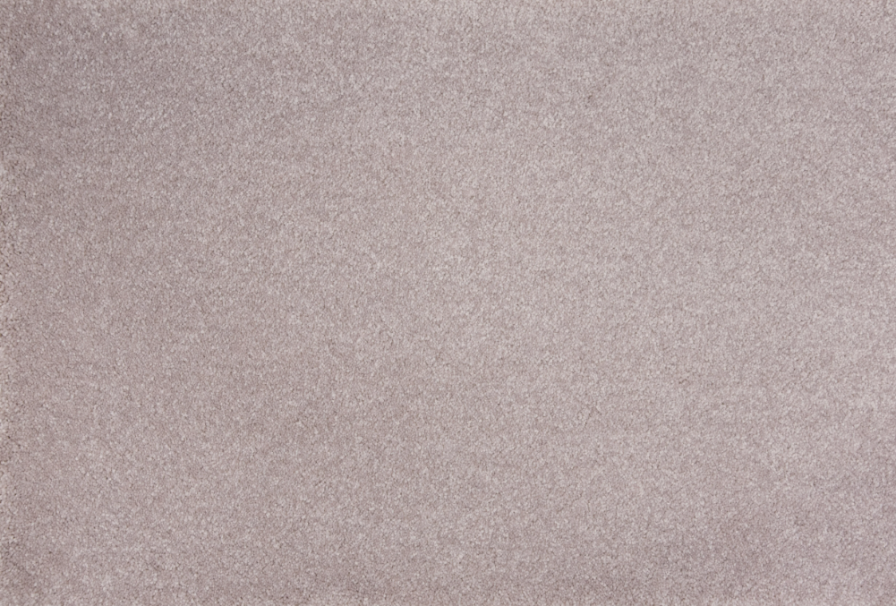 Atelier Renew Evolve Petal