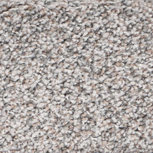 Exalted Prime Polypropylene Prestigious Carpet Textured 1