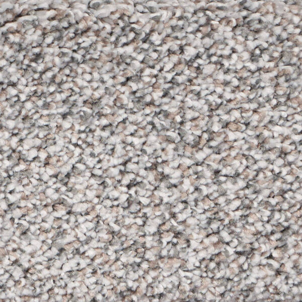 Exalted Prime Polypropylene Prestigious Carpet Textured 1