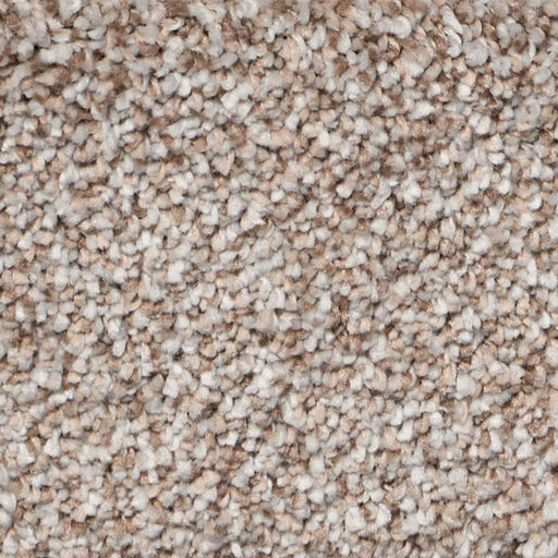 Exalted Prime Polypropylene Renowned Carpet Textured 1