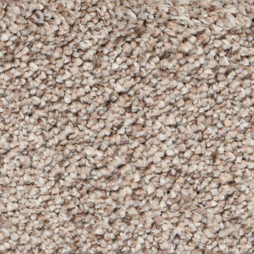 Exalted Prime Polypropylene Infamous Carpet Textured 1