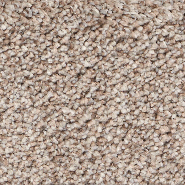 Exalted Prime Polypropylene Infamous Carpet Textured 1