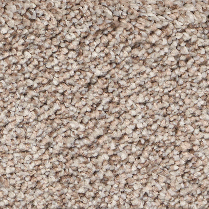 Exalted Prime Polypropylene Infamous Carpet Textured 2