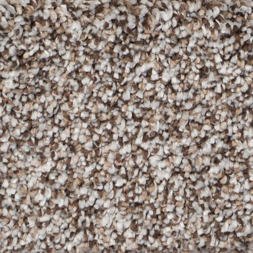 Exalted Prime Polypropylene Distinguished Carpet Textured 1