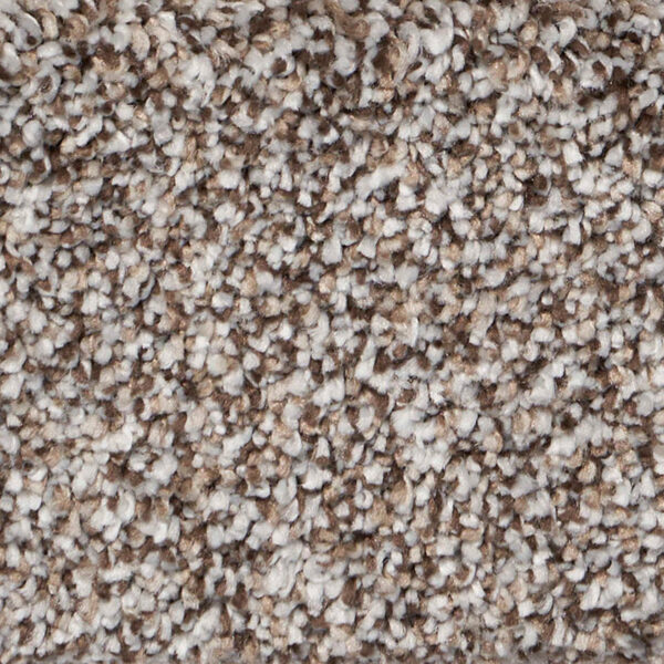 Exalted Prime Polypropylene Distinguished Carpet Textured 1