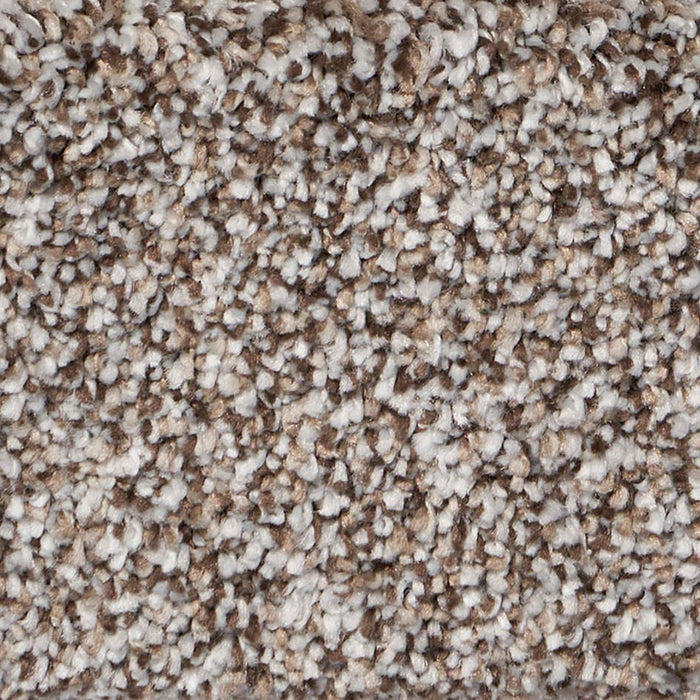 Exalted Prime Polypropylene Distinguished Carpet Textured 2