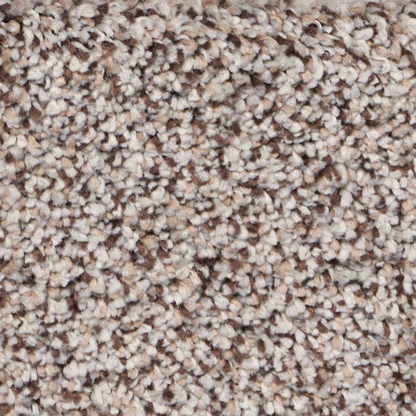 Exalted Prime Polypropylene Glorious Carpet Textured 1