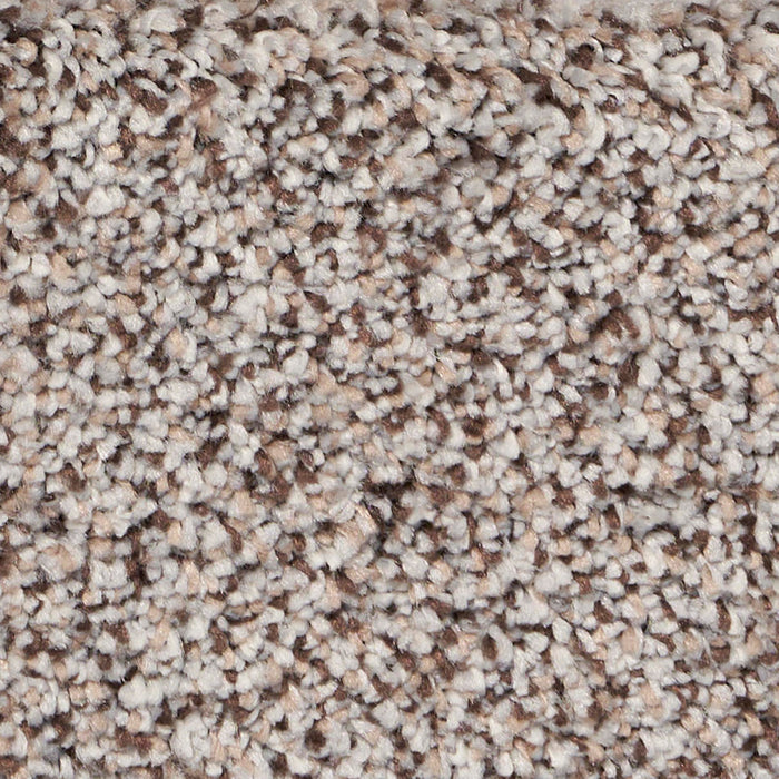Exalted Prime Polypropylene Glorious Carpet Textured 2