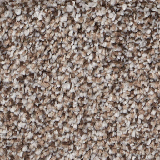 Exalted Prime Polypropylene Celebrate Carpet Textured 1