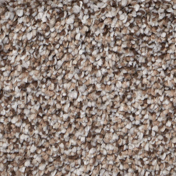 Exalted Prime Polypropylene Celebrate Carpet Textured 2