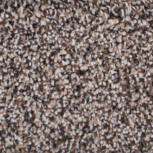 Exalted Prime Polypropylene Notable Carpet Textured 1