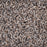 Exalted Prime Polypropylene Notable Carpet Textured 2
