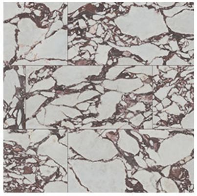 Exotika Violetta NVIO2448P