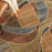 Expressions Multicolor XP07 Polypropylene Blend Contemporary Area Rug - 5 Ft x 7 Ft