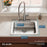 Lustertone Classic Stainless Steel Kitchen Sink 9