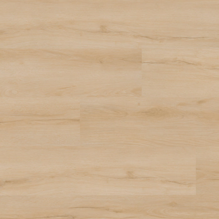 Everlife LVT Nove Reserve Akadia Dryback Luxury Vinyl Plank Flooring - Low Gloss