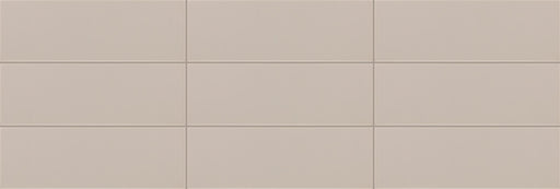 Finish Line Ceramic Fawn FL92 Tile Glossy 1