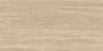 Fortune Porcelain Natural Tile Polished 1